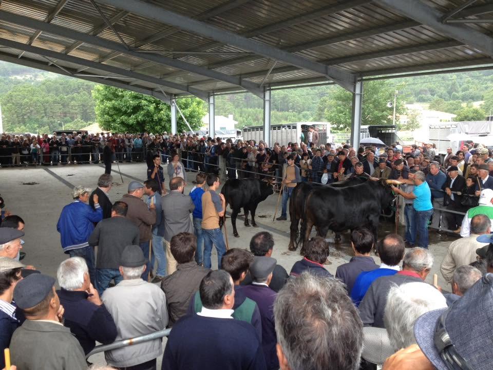 Lordelo acolhe tradição rural dos produtores da região vilarealense
