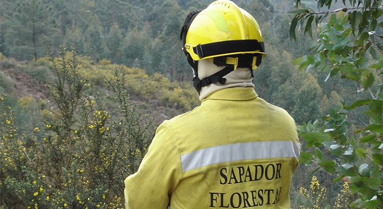 Município aprova apoio imediato às equipas de Sapadores Florestais